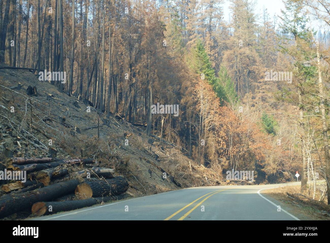 Burn recovery hi-res stock photography and images - Alamy