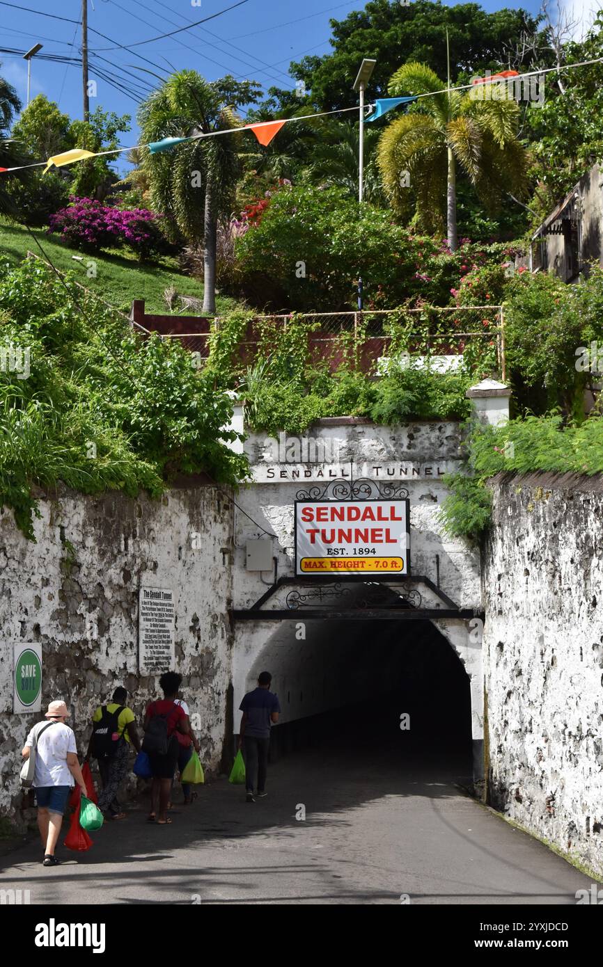Beneath lush foliage, pedestrians enter the Sendall Tunnel, which has ...