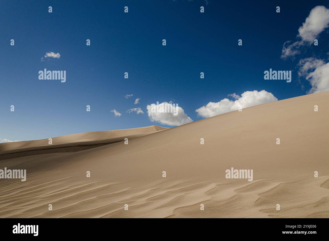 Golden Sand Dunes Under a Clear Blue Sky with White Clouds Stock Photo ...