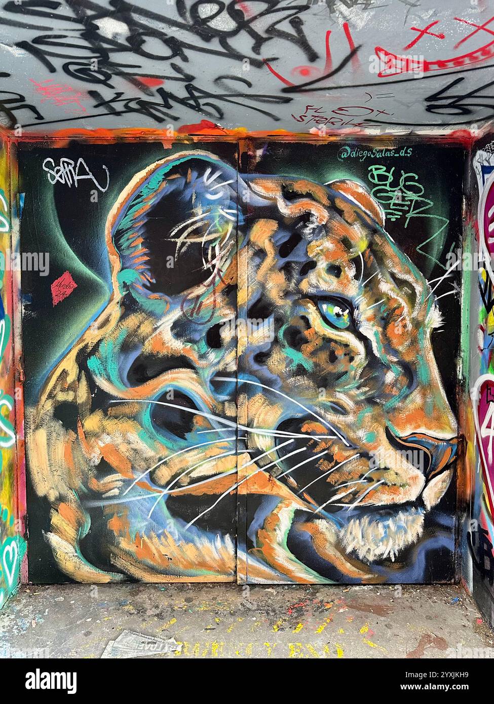 Hosier Arts - Smartphone Captured Stock Image