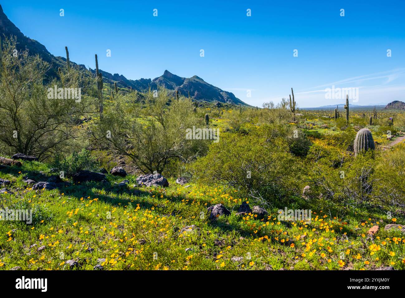 An overlooking view of Picacho Peak SP, Arizona Stock Photo