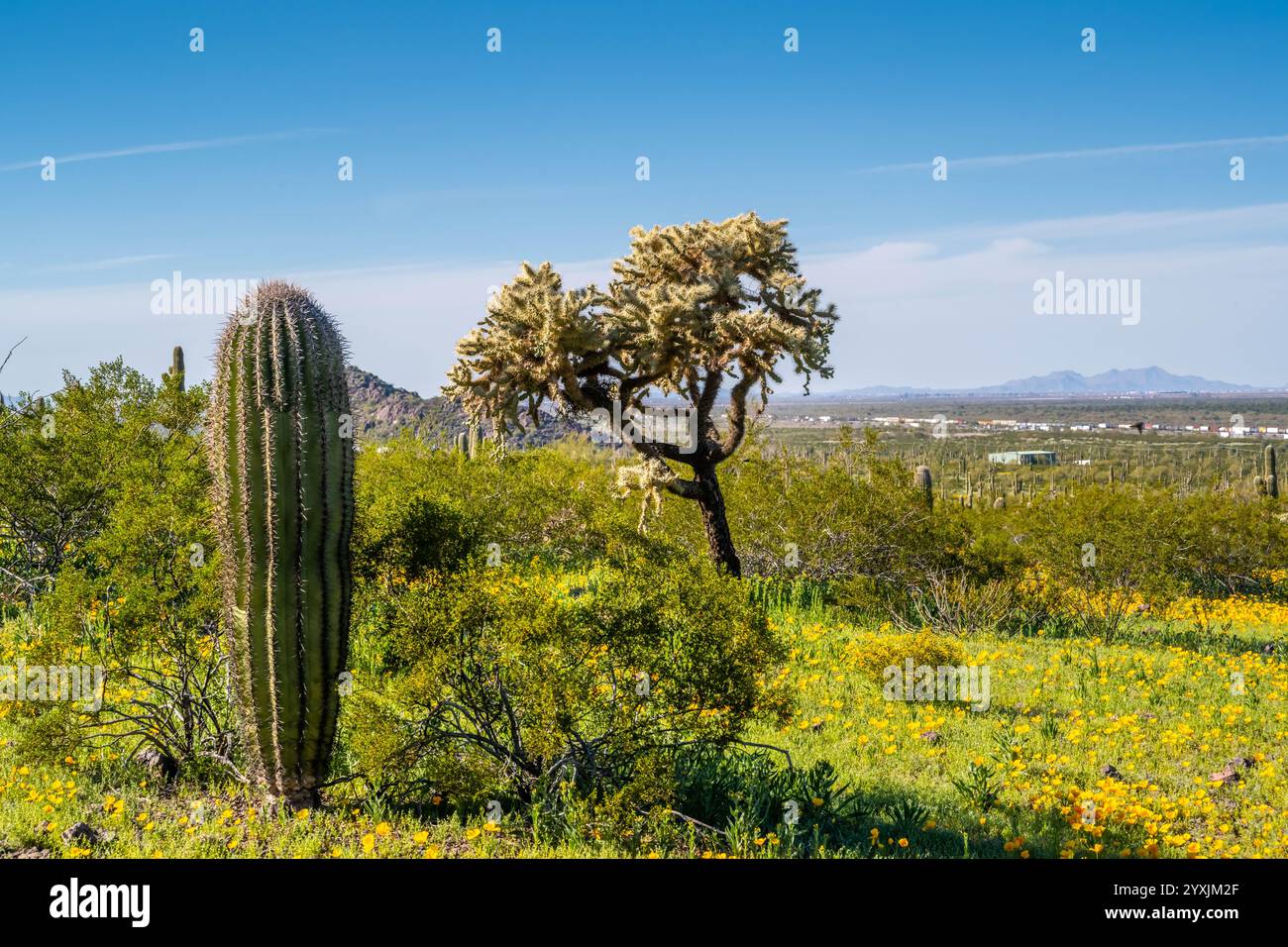 An overlooking view of Picacho Peak SP, Arizona Stock Photo
