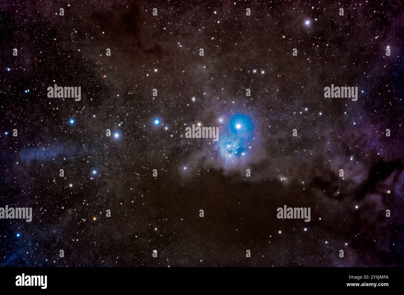 cyanosis様 Low-GPX4 drives a sustained drug-tolerant persister state in