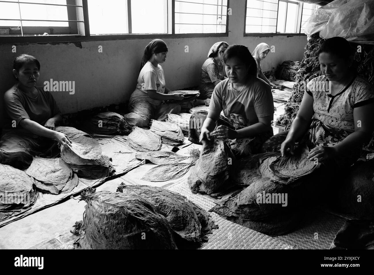 Tobacco factory Black and White Stock Photos & Images