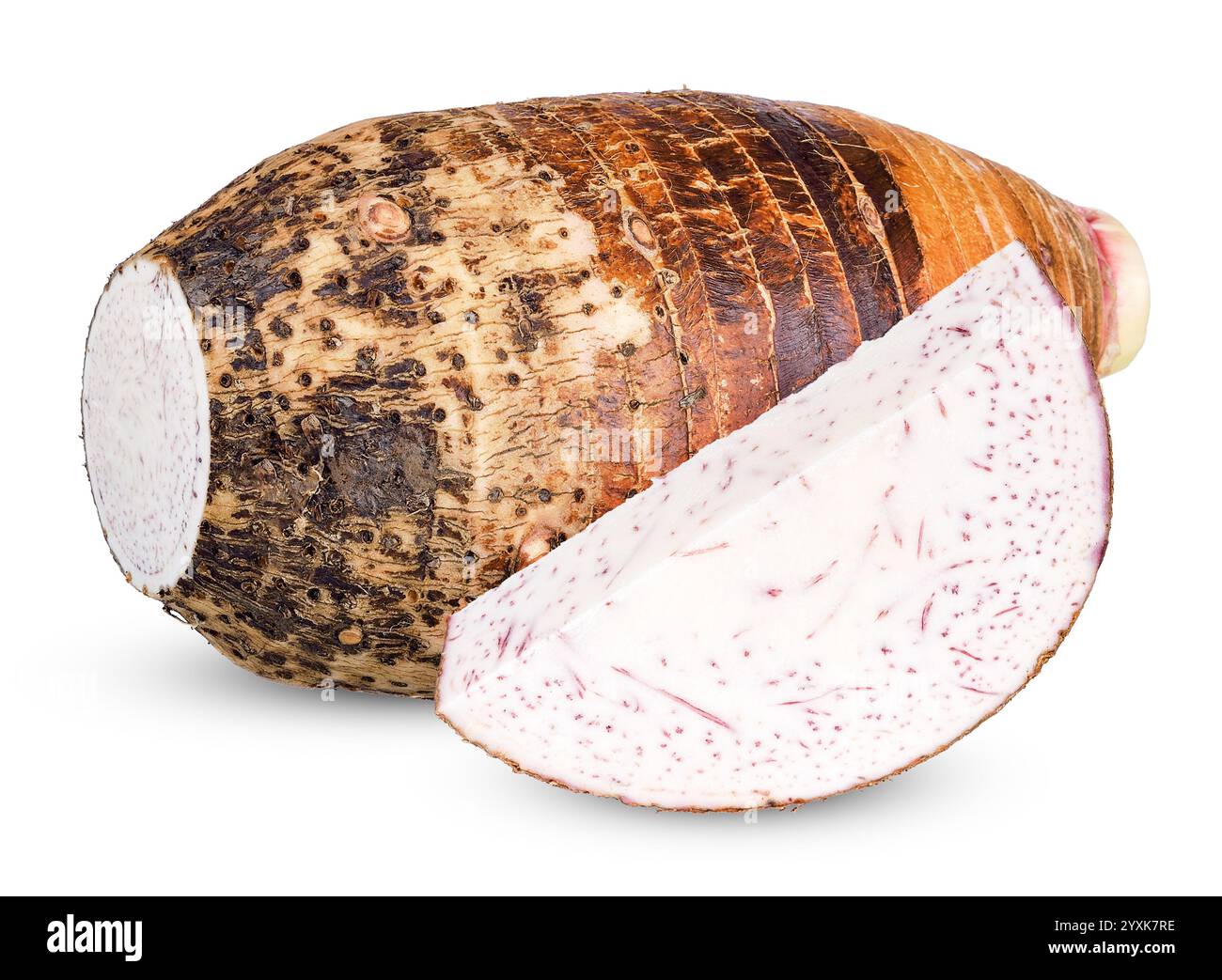 Asian taro hi-res stock photography and images - Alamy