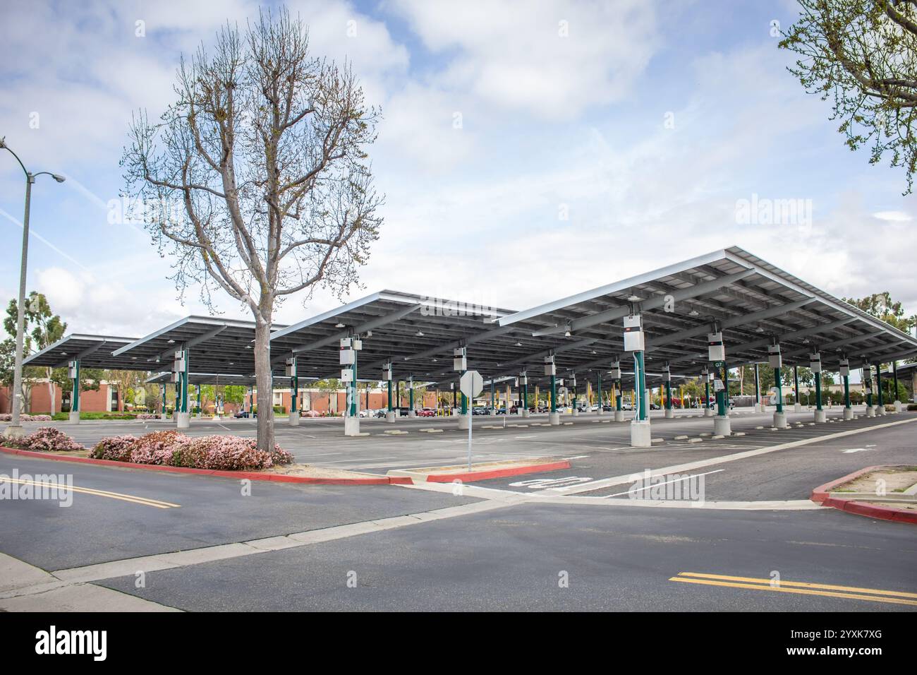 Long Beach, California, United States - 04-03-2019: A view of a parking lot full of angled solar panels, seen at CSULB. Stock Photo