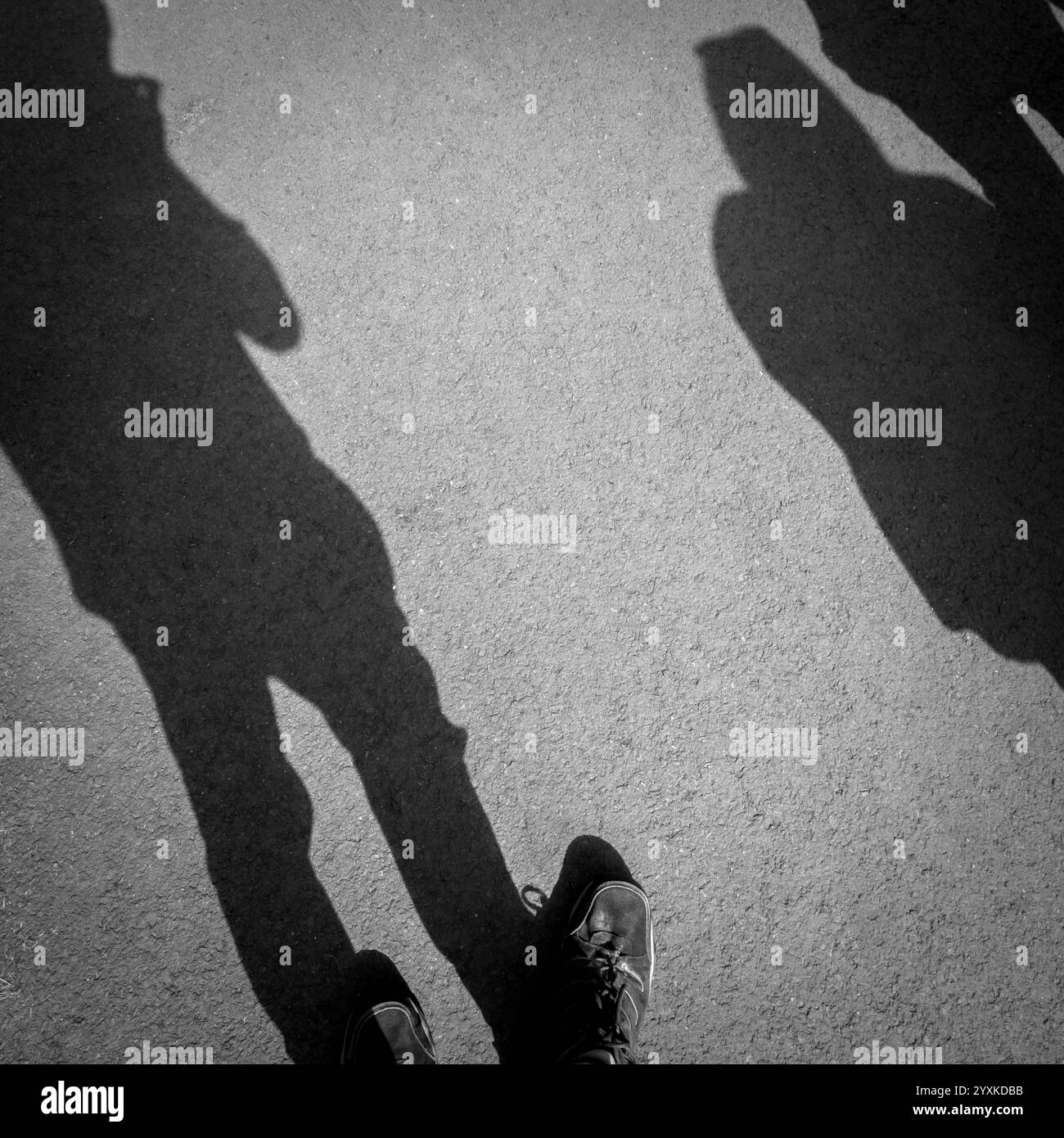 Human pathway Black and White Stock Photos & Images - Alamy