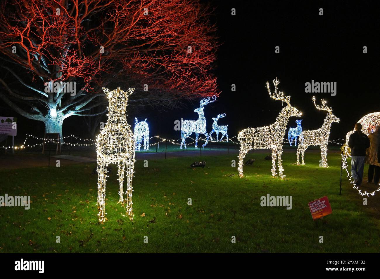 Christmas Light Trail Romsey Hilliers Gardens Hi res Stock Photography 