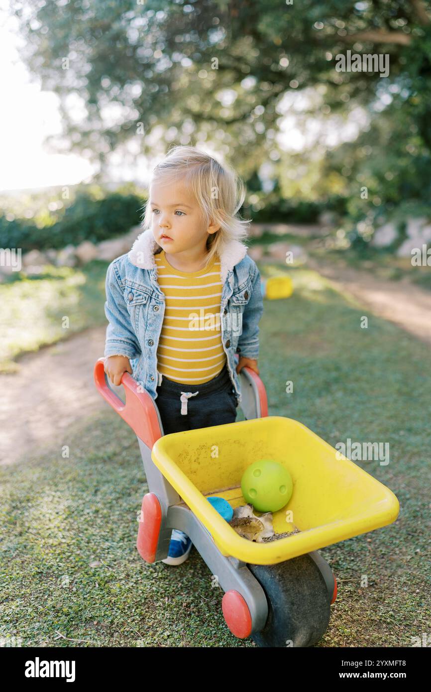 Little girl is driving a toy wheelbarrow with balls in the park. High ...