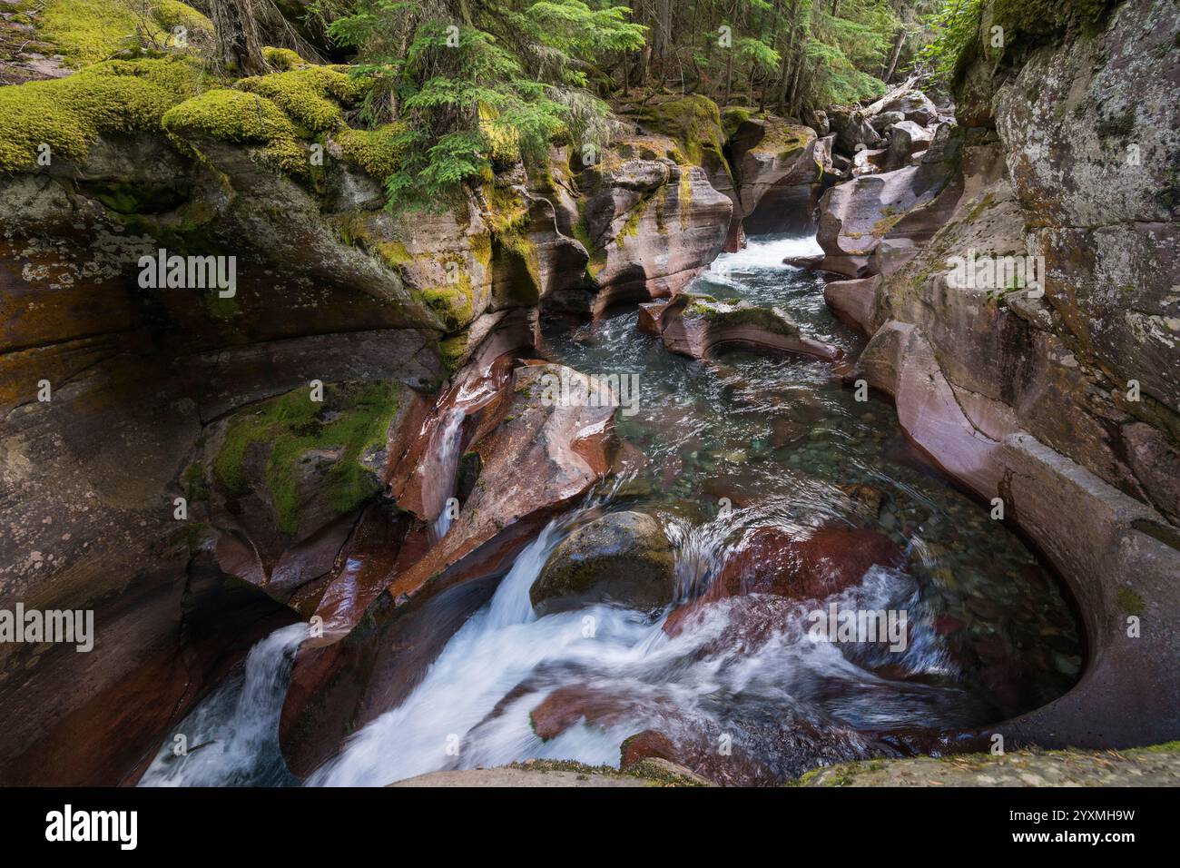 canyon-and-waterfalls-avalanche-creek-glacier-national-park-montana