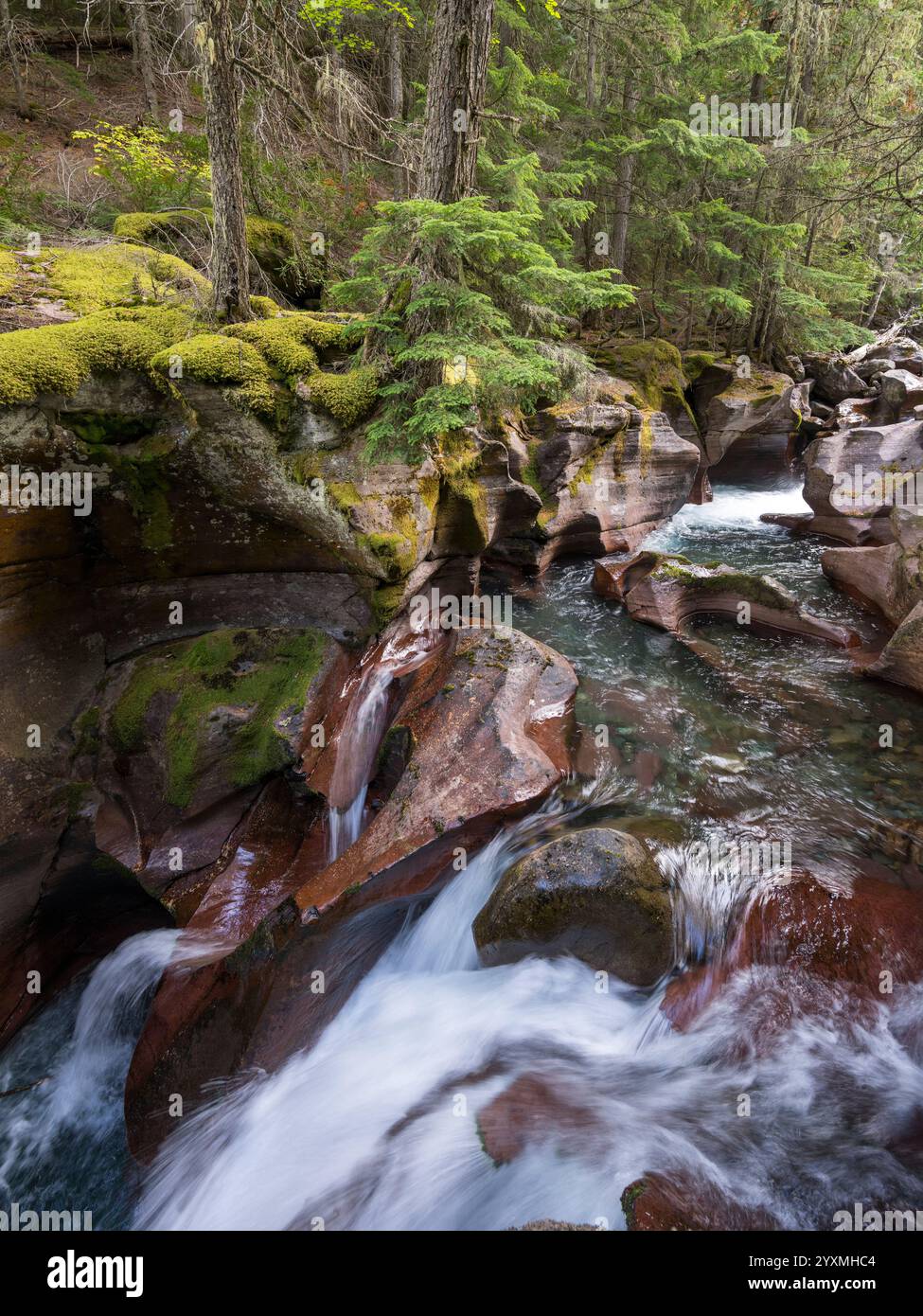 canyon-and-waterfalls-avalanche-creek-glacier-national-park-montana