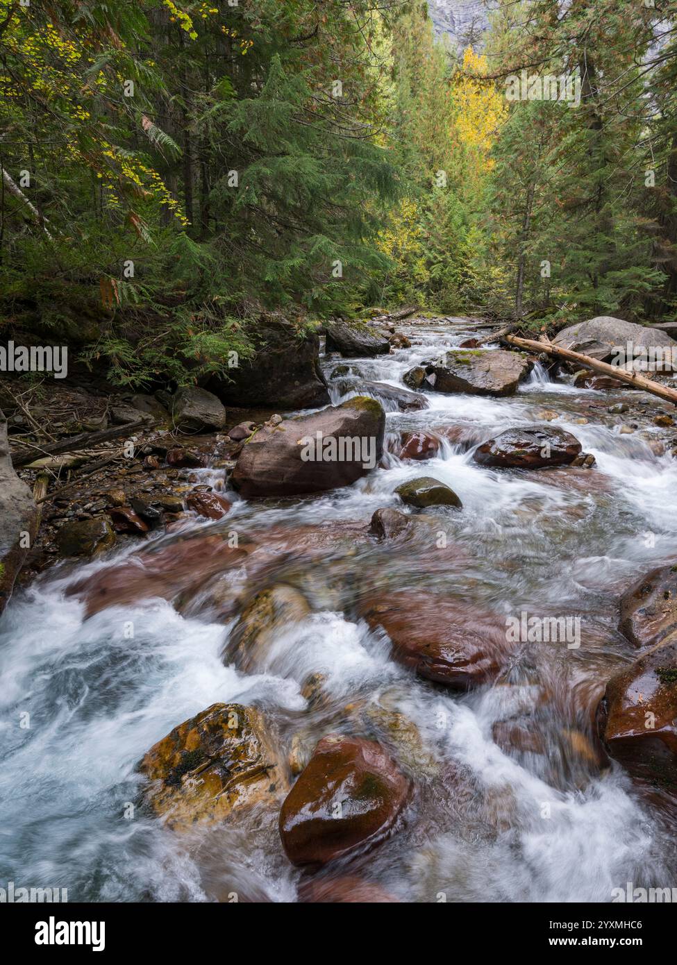 Canyon And Waterfalls Avalanche Creek Glacier National Park Montana 
