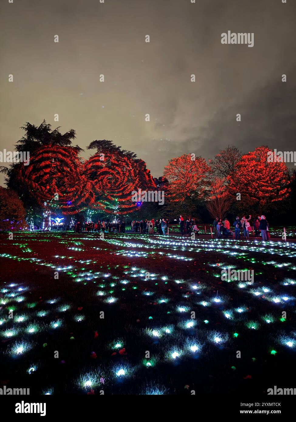 christmas-lights-in-kew-gardens-london-uk-stock-photo-alamy