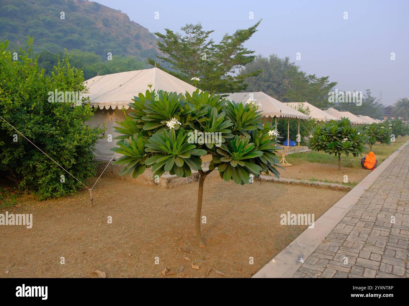 Indian retreat hi-res stock photography and images - Alamy