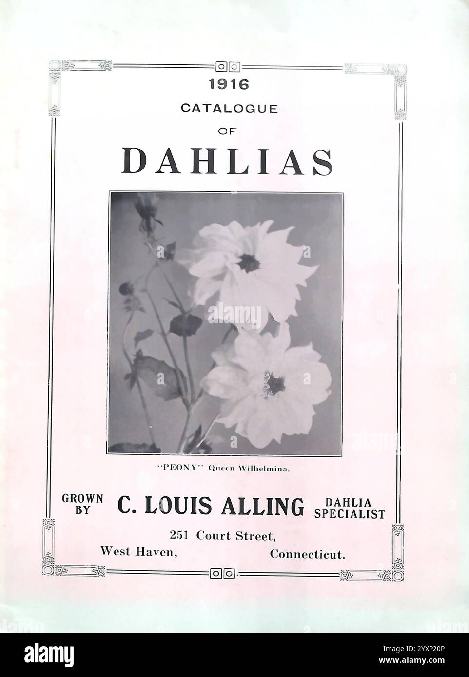 Design prominently displays hires stock photography and images Alamy