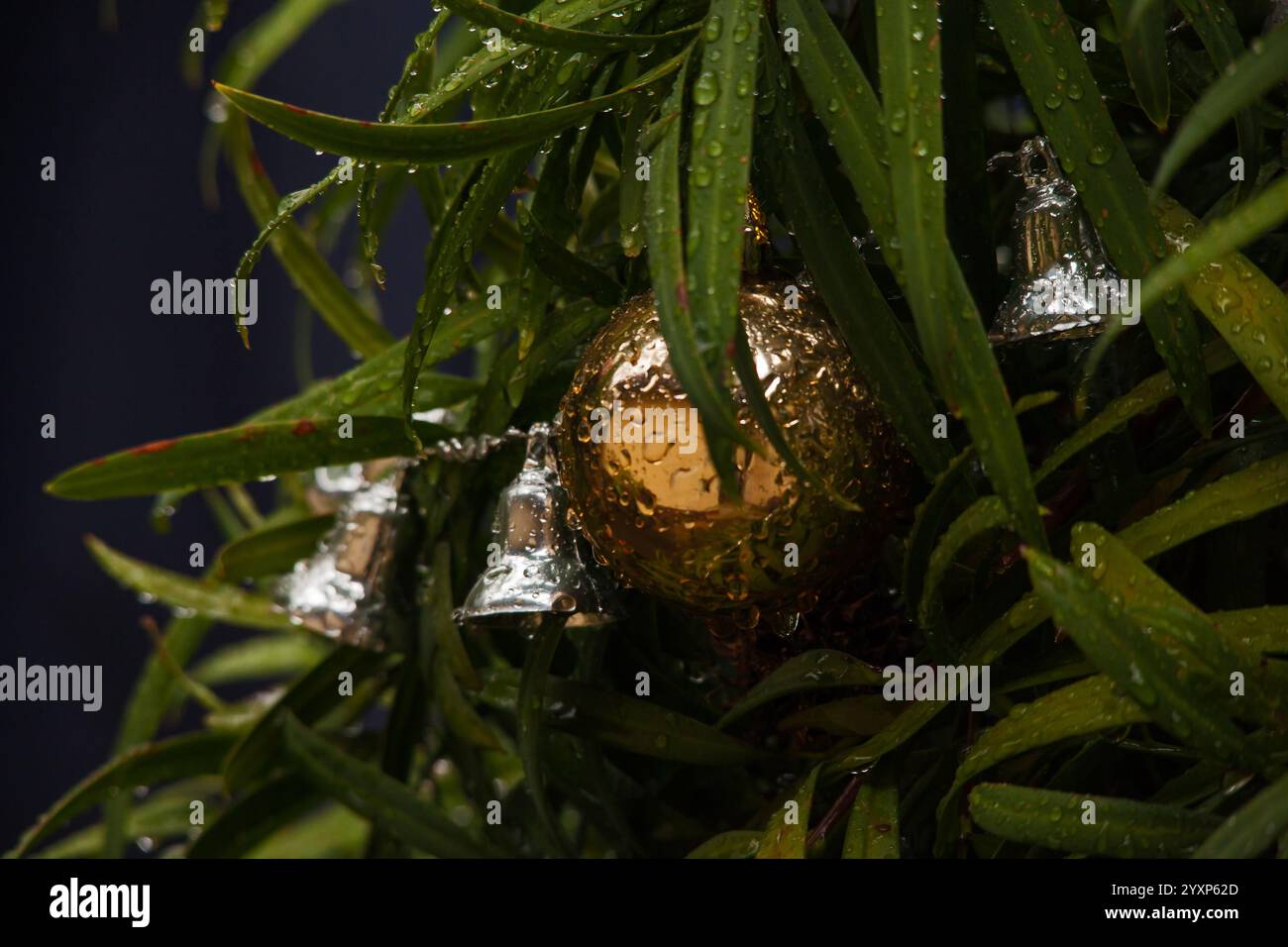 Christmas decorations 16150 Stock Photo