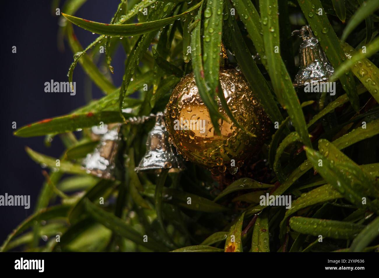 Christmas decorations 16152 Stock Photo