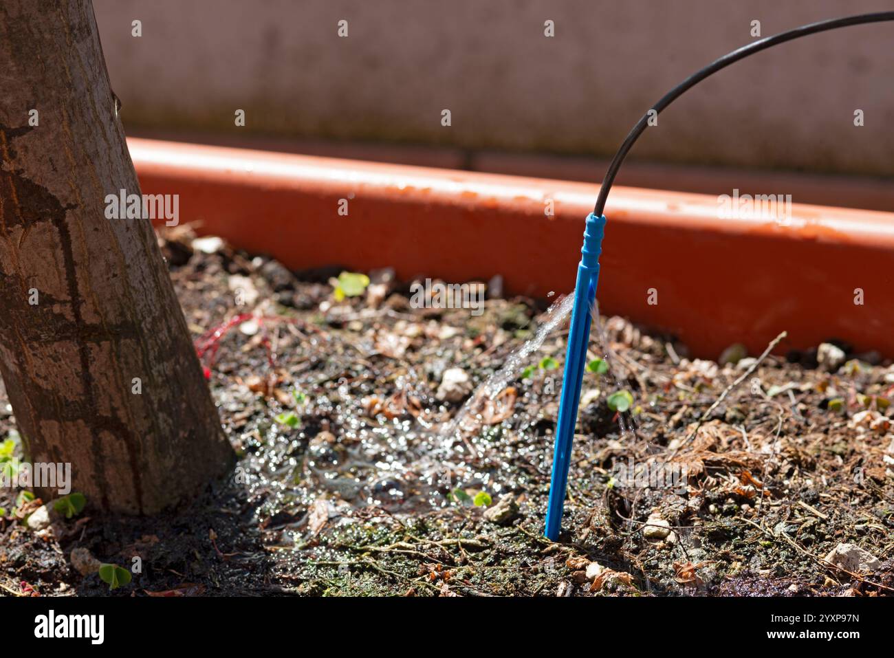 Drip Irrigation System Stock Photo - Alamy