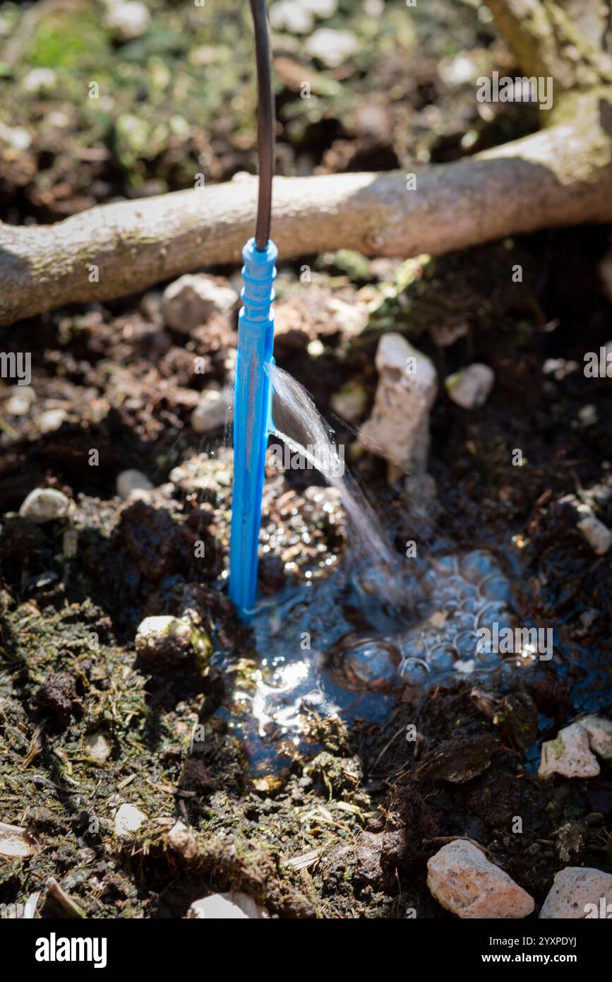 Drip Irrigation System Stock Photo - Alamy