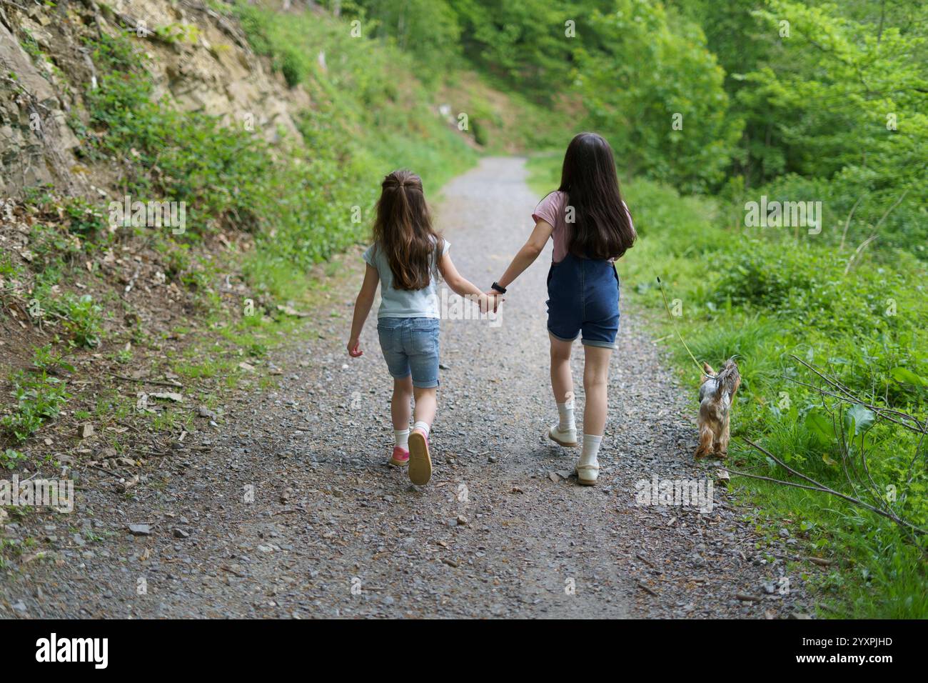 Two little girls walking hand in hand up a mountain path with a dog on ...