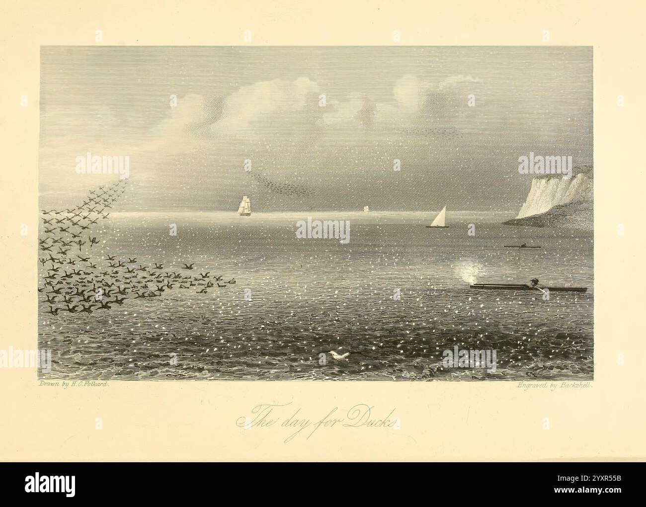 The, wild-fowler, London, England, Longman, Green, Longman, and Roberts ...