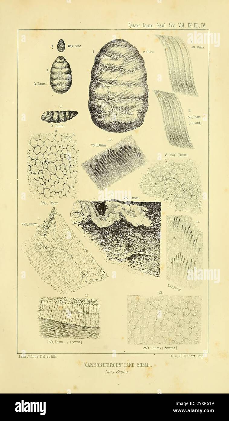 The Quarterly Journal of the Geological Society of London, v. 9 (1853 ...