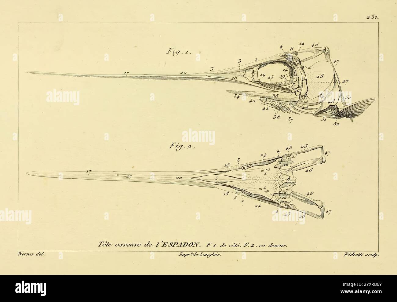 Histoire naturelle des poissons, Paris, Chez F. G. Levrault, 1828-1849 ...