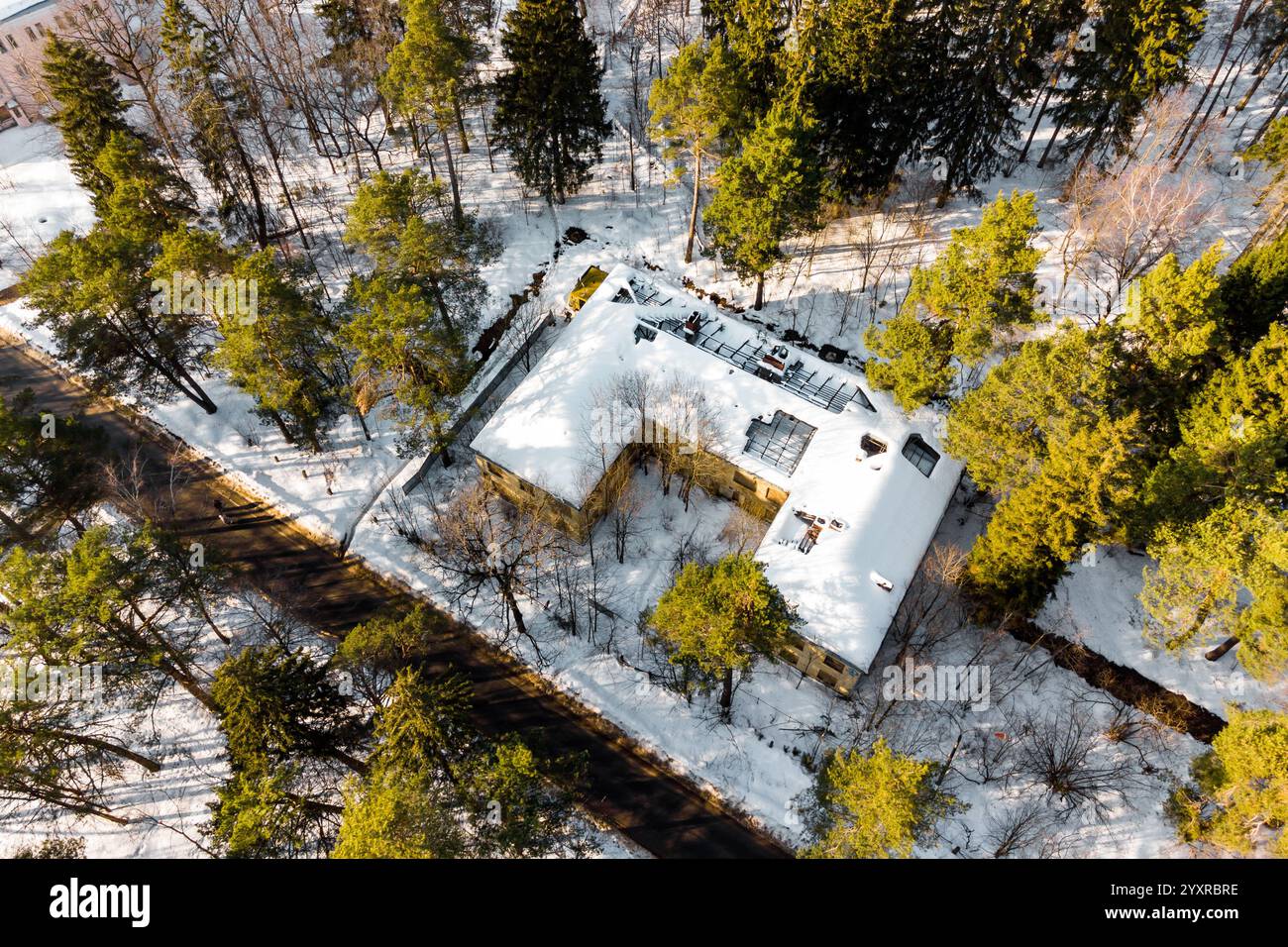 Surrounded by pine forest hi-res stock photography and images - Alamy