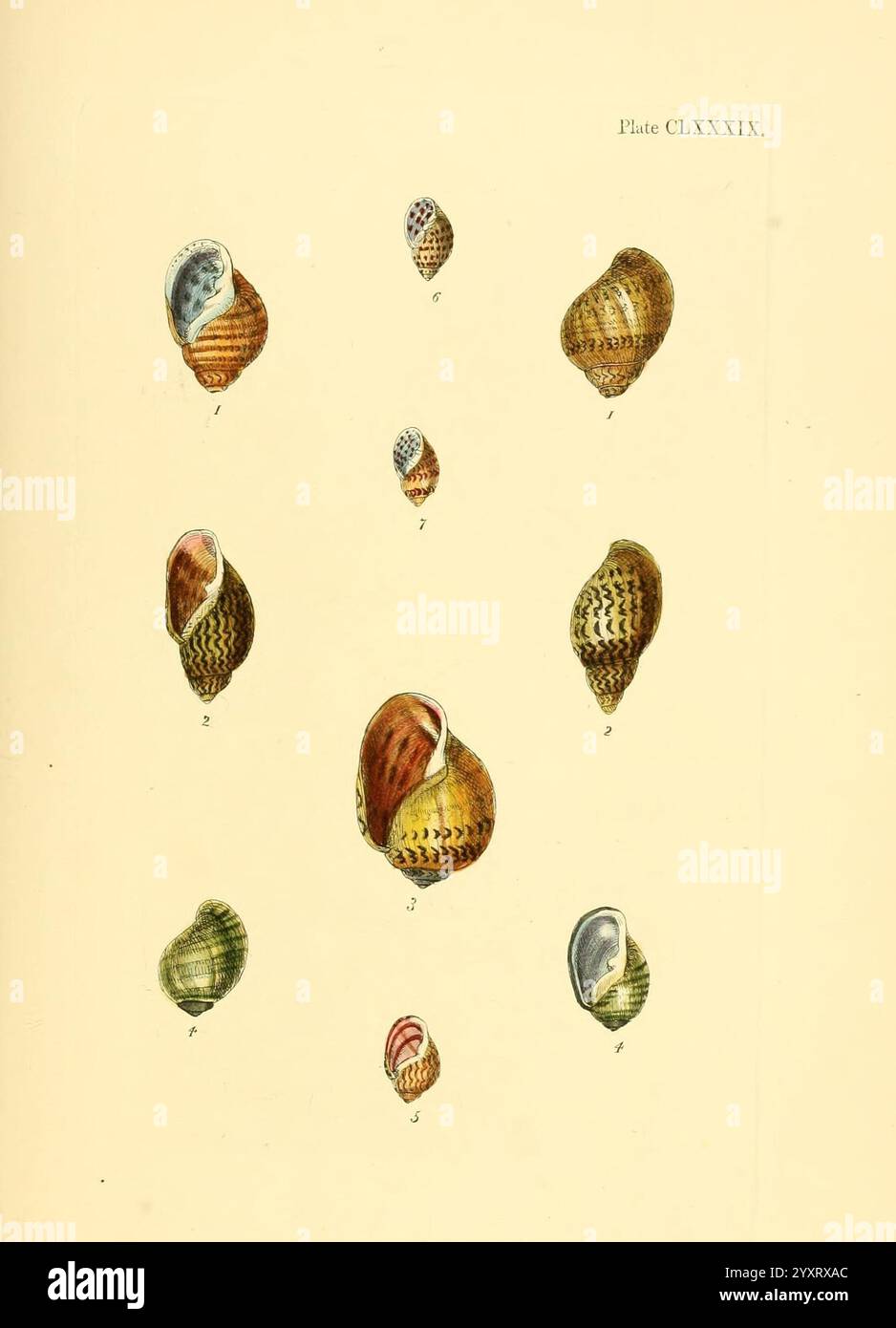 Appealing visual diversity hi-res stock photography and images - Alamy