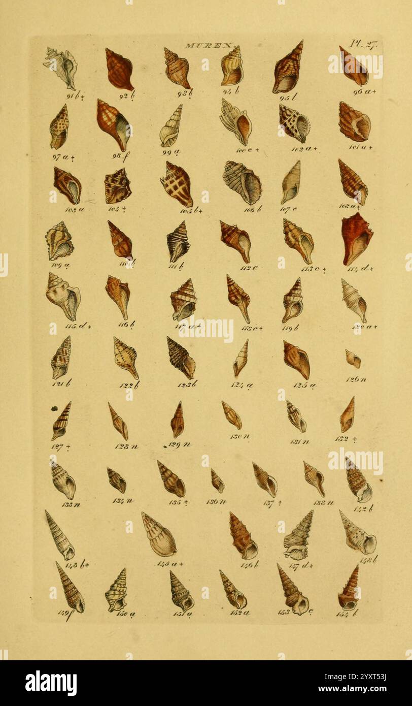 Biology catalog hires stock photography and images Alamy