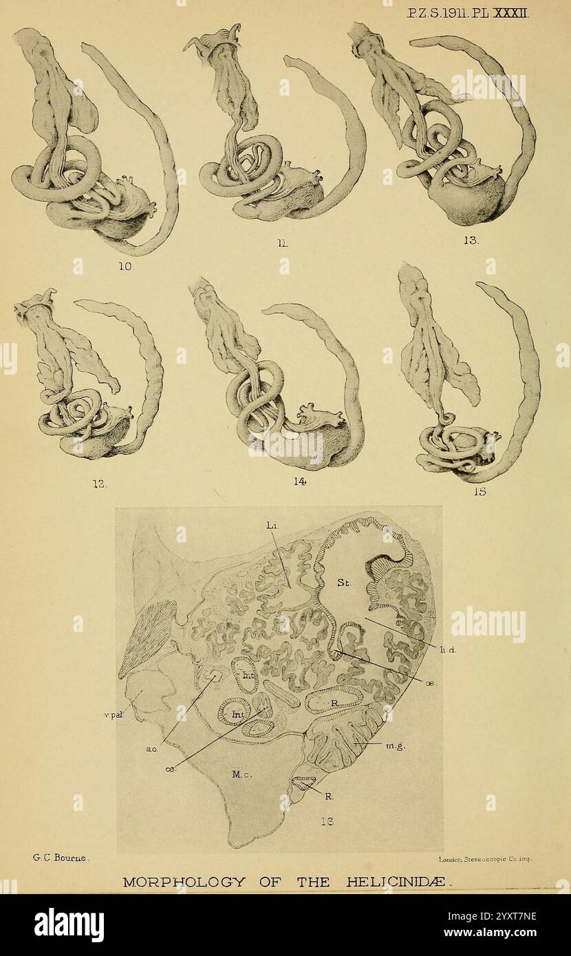 Proceedings of the Zoological Society of London, London, Academic Press ...