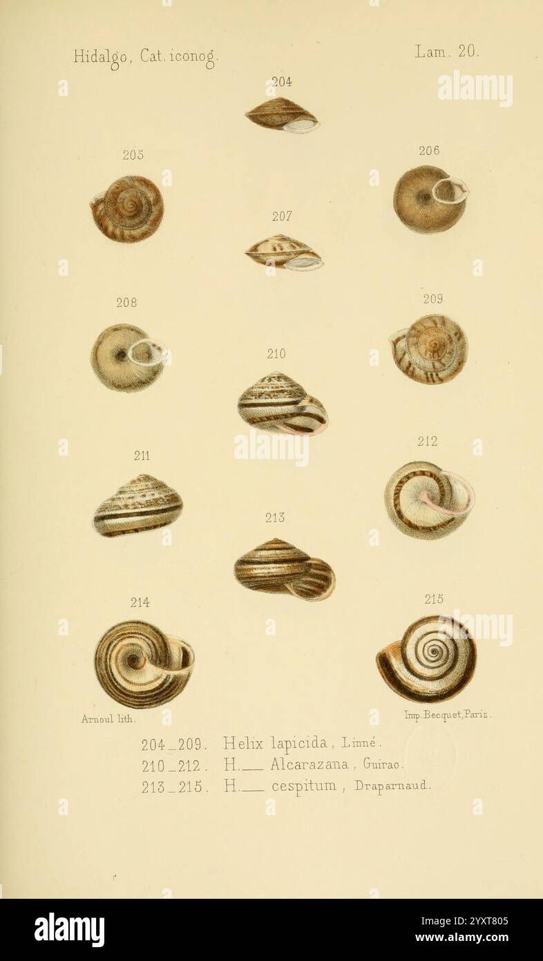 Unique identification number ranging hi-res stock photography and ...