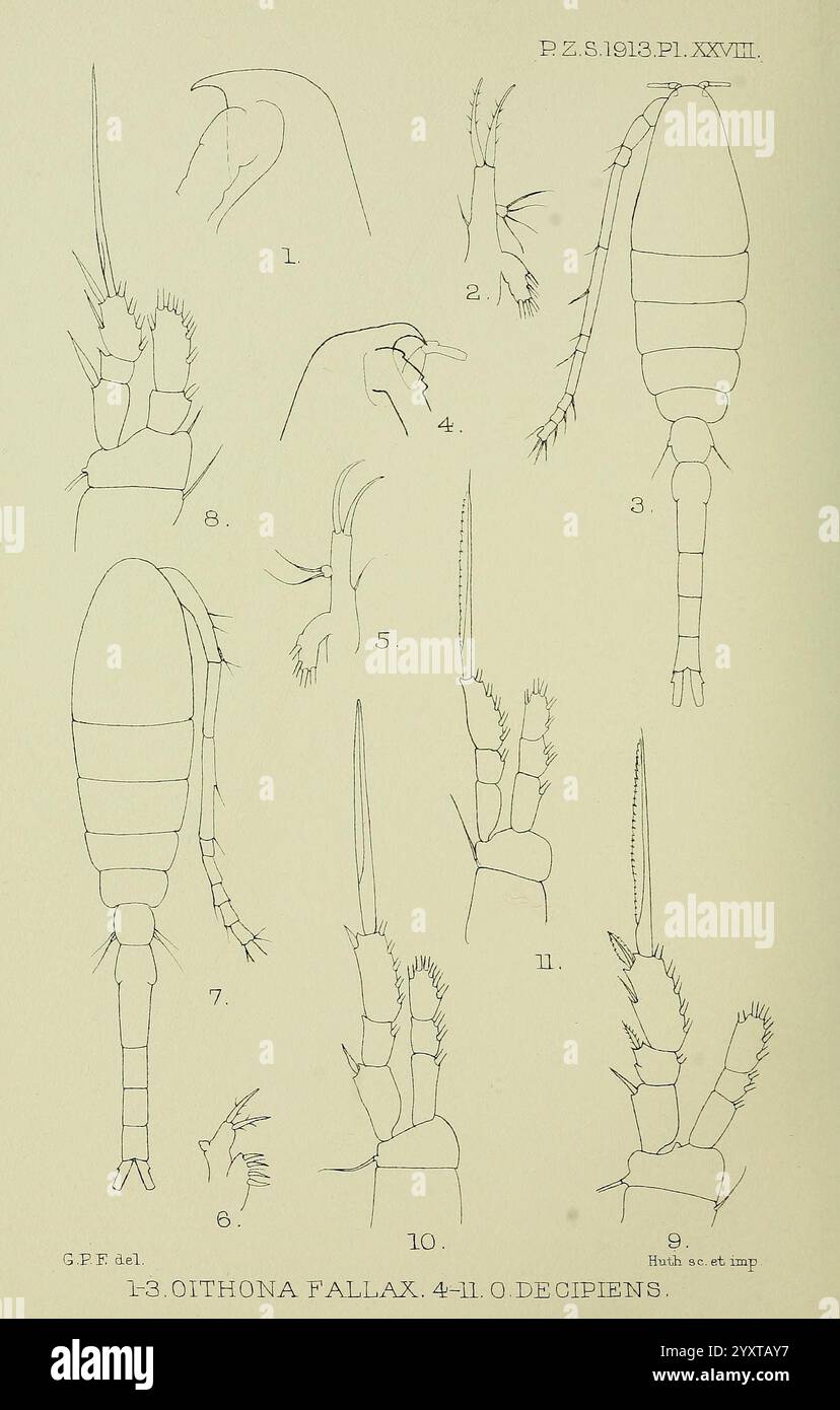 Proceedings of the Zoological Society of London, London, Academic Press ...