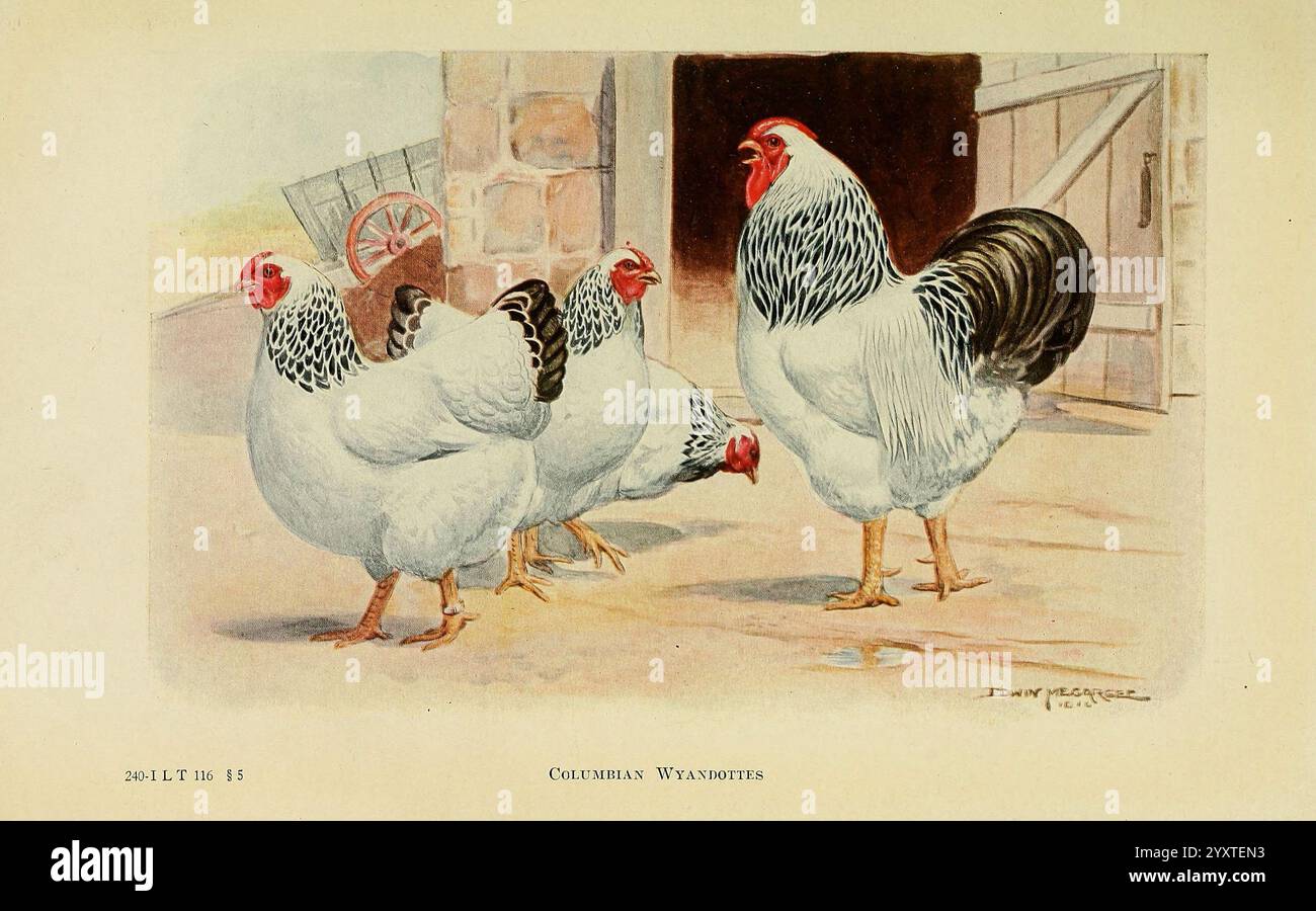 1909 poultry ribbon Ontario Provincial Winter Fair Guelph 1909 poultry ribbon Ontario Provincial Winter Fair Guelph