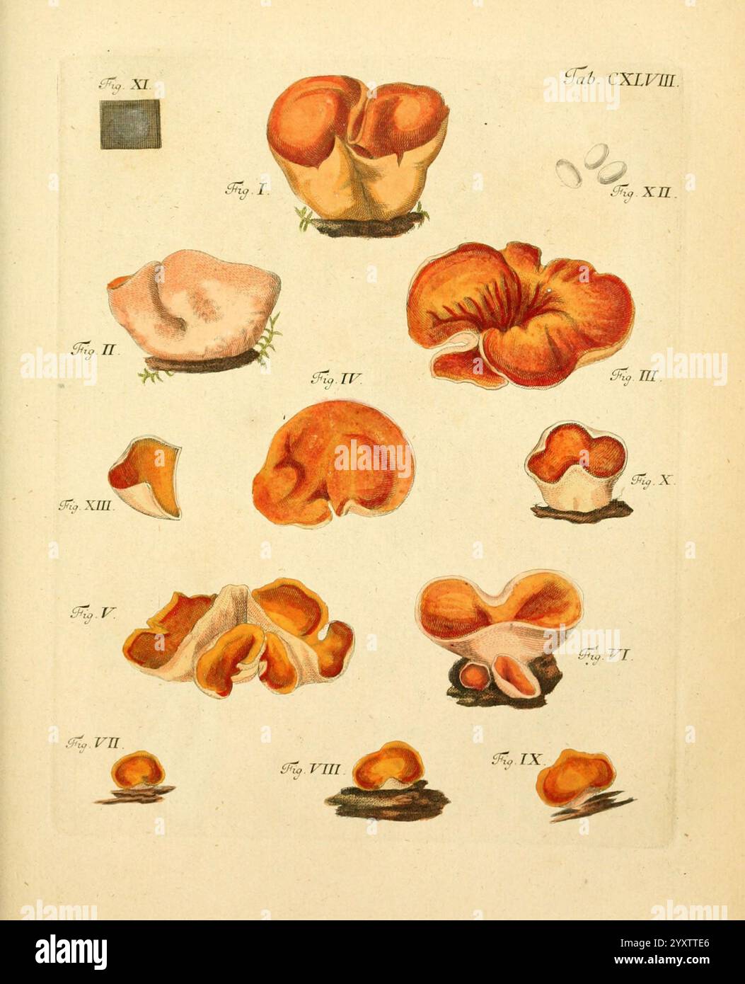 Varying complexities hi-res stock photography and images - Alamy