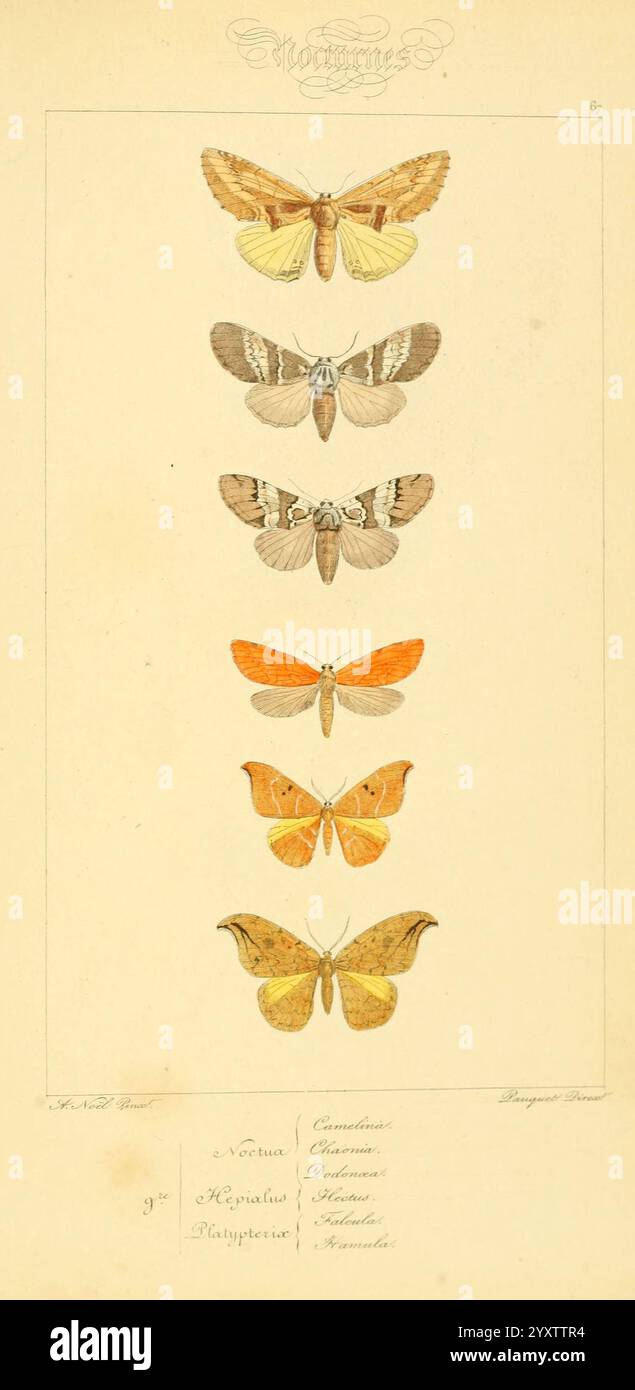 Fourth moth stands hi-res stock photography and images - Alamy