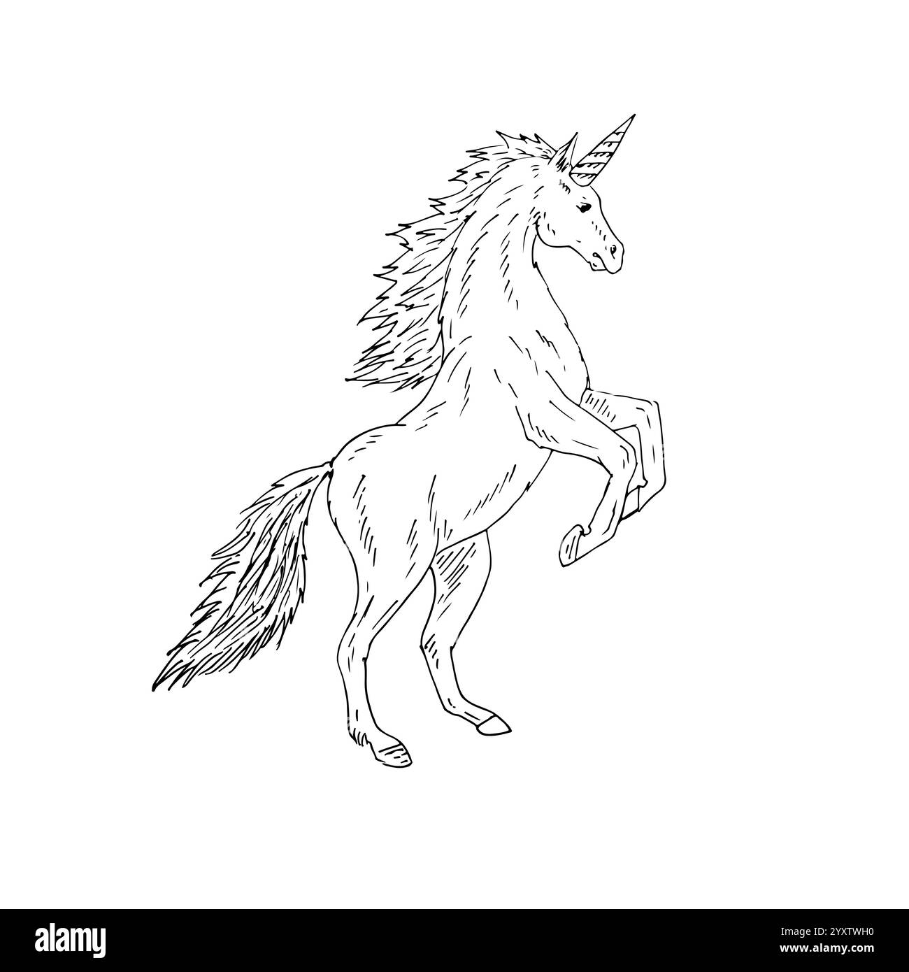 Vector hand drawn doodle sketch unicorn isolated on white background ...