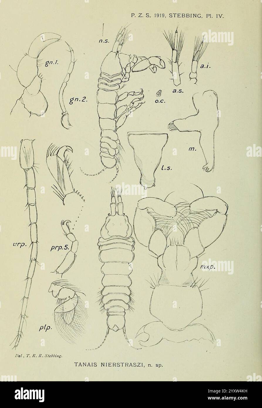 Proceedings of the Zoological Society of London, London, Academic Press ...