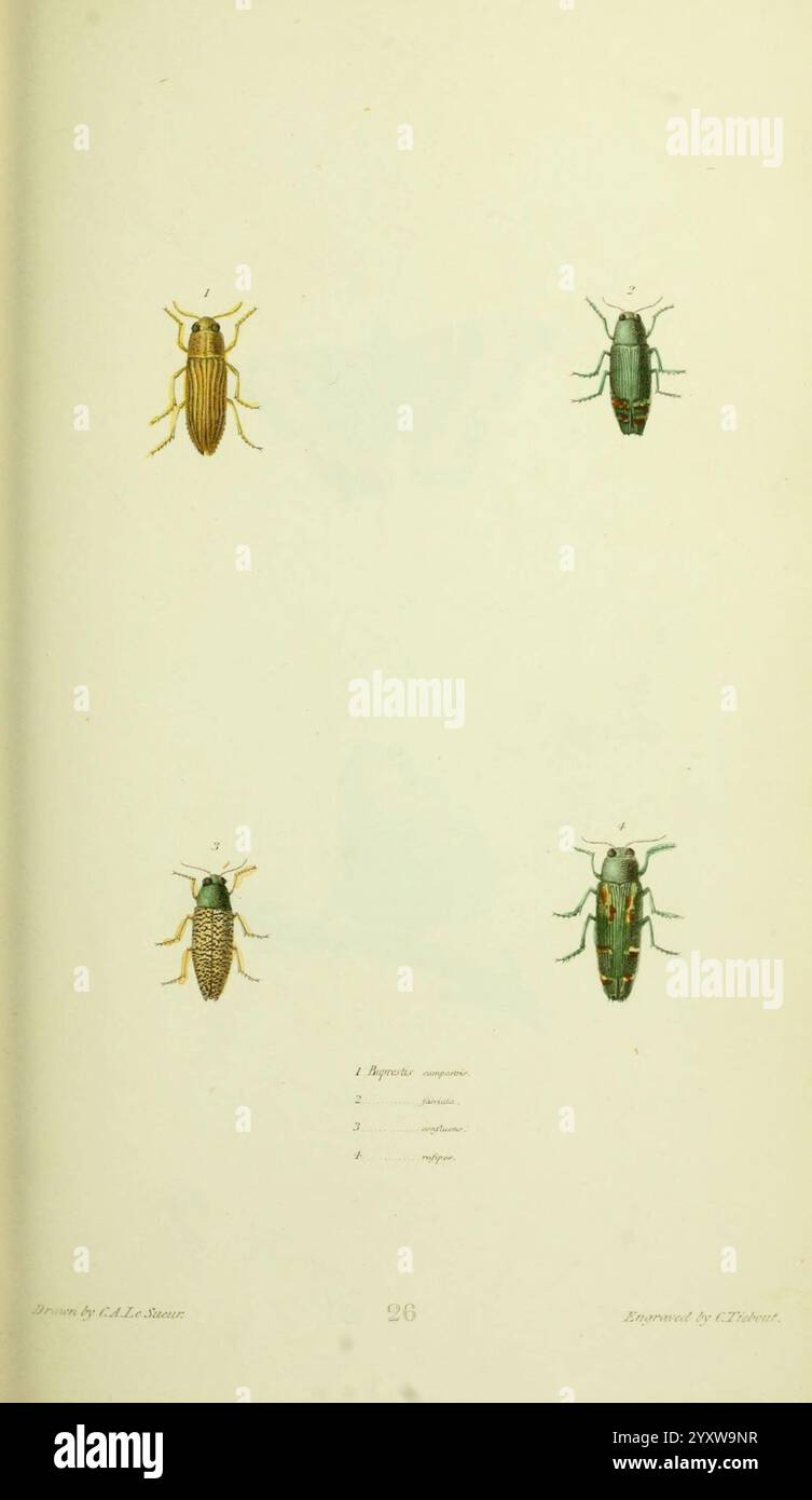 American, entomology Boston, Estes & Lauriat, [1859?], insects, North ...