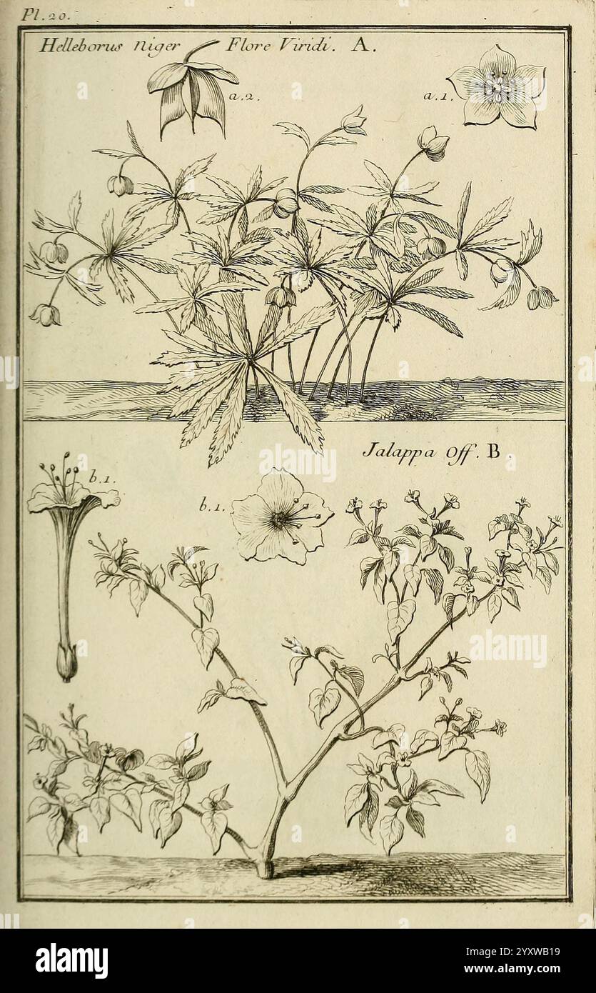Les figures des plantes et animaux d'usage en medicine, Paris, Desprez ...