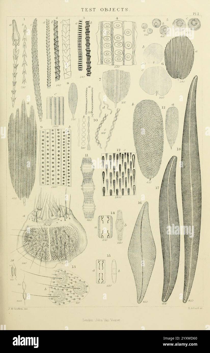 Test Pattern Microscope The micrographic dictionary, London, J. Van Voorst, 1883, dictionaries ...