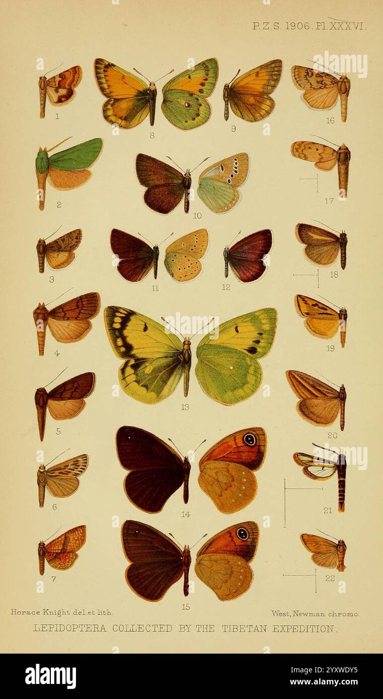 Proceedings of the Zoological Society of London, London, Academic Press ...