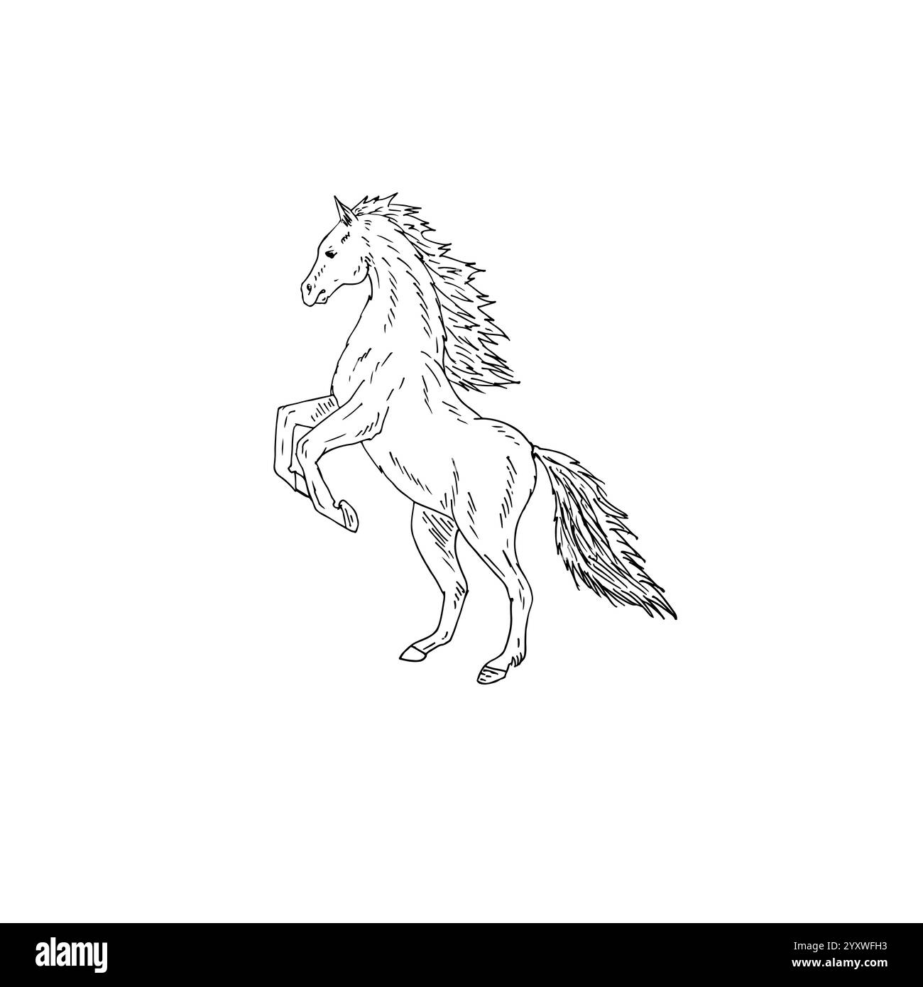 Vector hand drawn doodle sketch horse isolated on white background ...