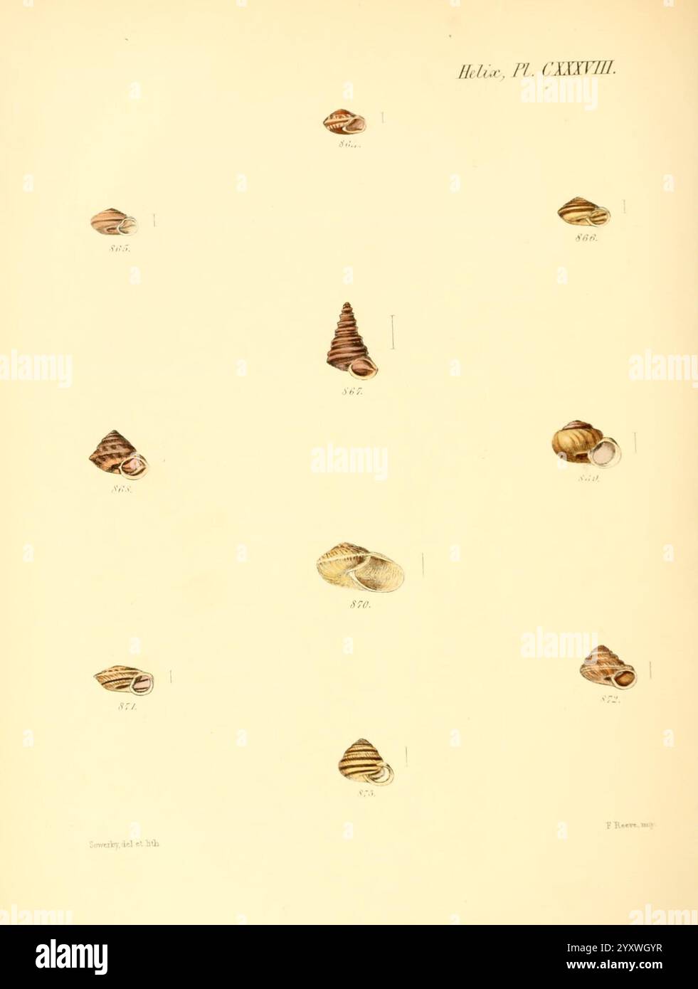 Systematically labeled hi-res stock photography and images - Alamy