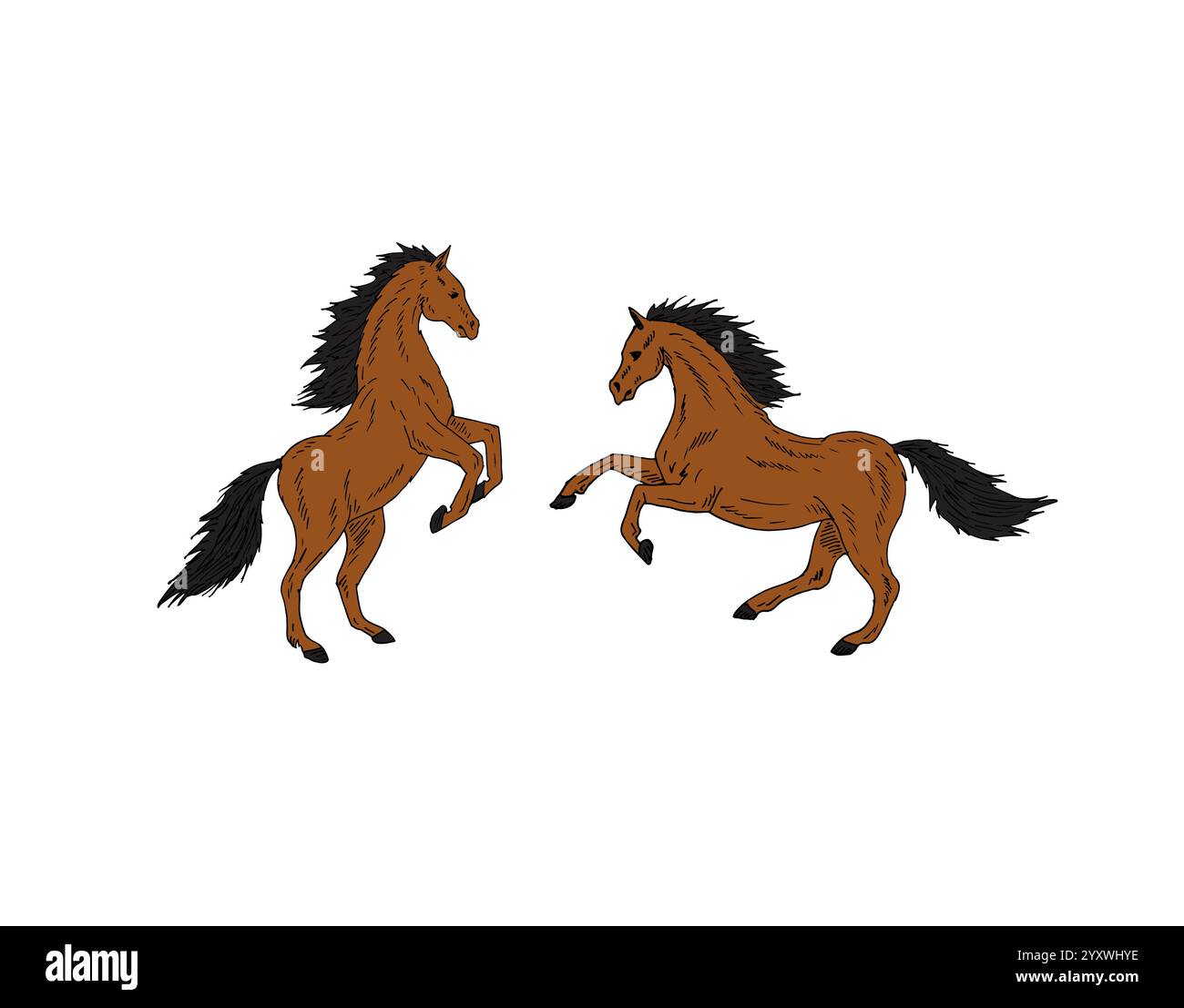 Vector two hand drawn doodle sketch bay brown horses set isolated on ...