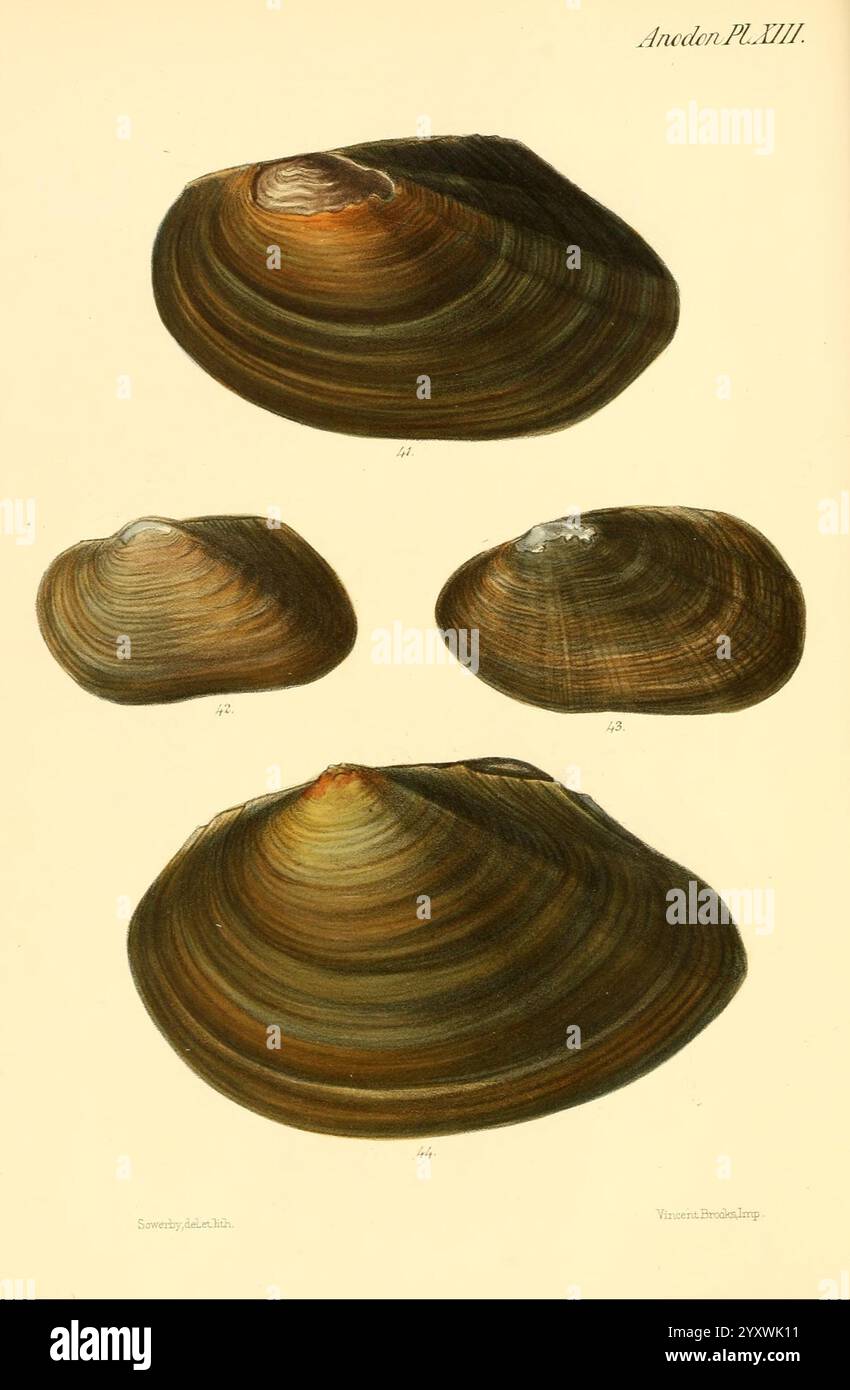 Identifier suggesting hi-res stock photography and images - Alamy