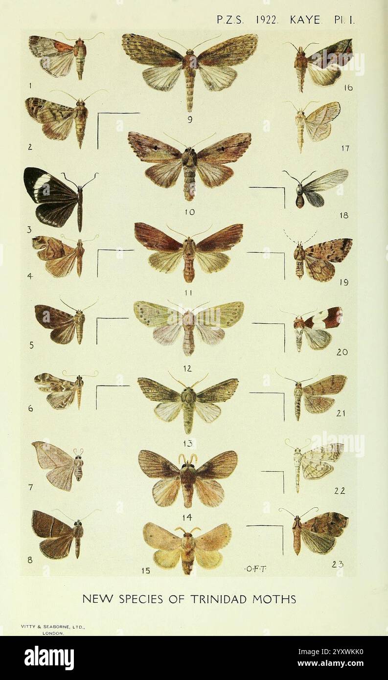 Trinidads ecosystem hi-res stock photography and images - Alamy