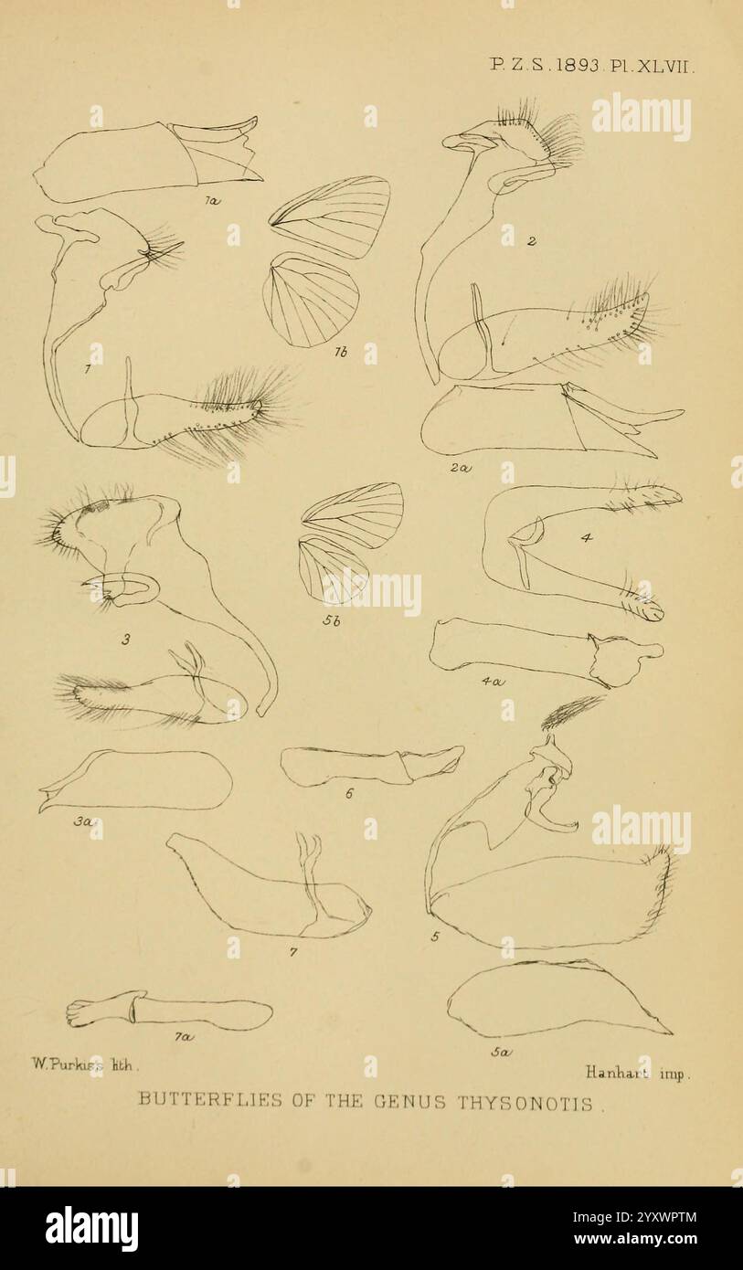 Proceedings of the Zoological Society of London, London, Academic Press ...