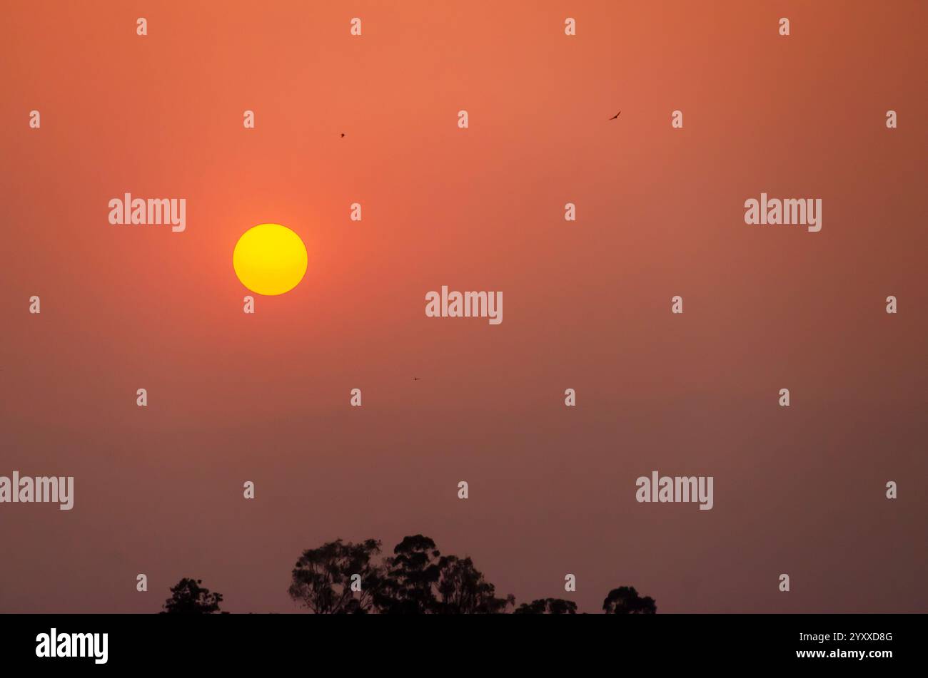 The Sun setting over the horizon. Stock Photo