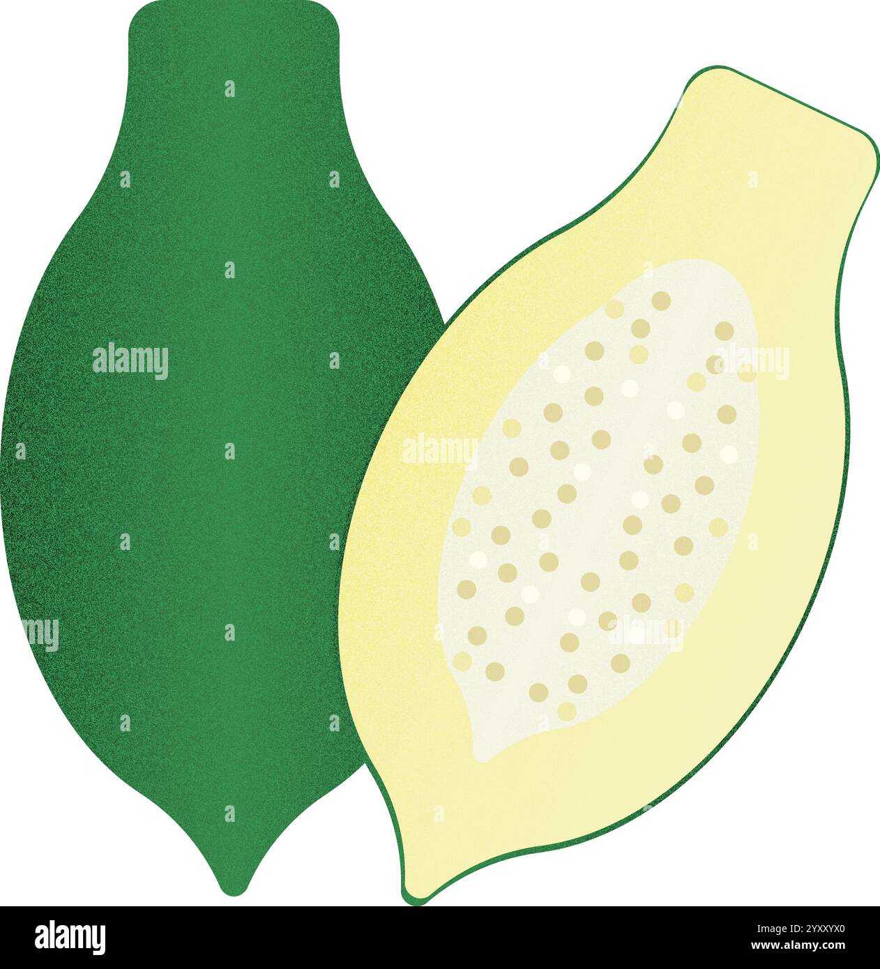 Vector fruit Green Papaya cartoon vector illustration isolated object Stock Vector